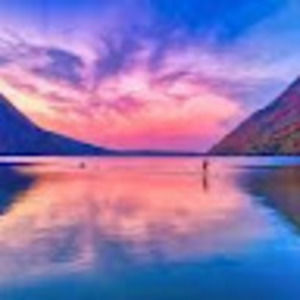 Meet your Posher, Henry